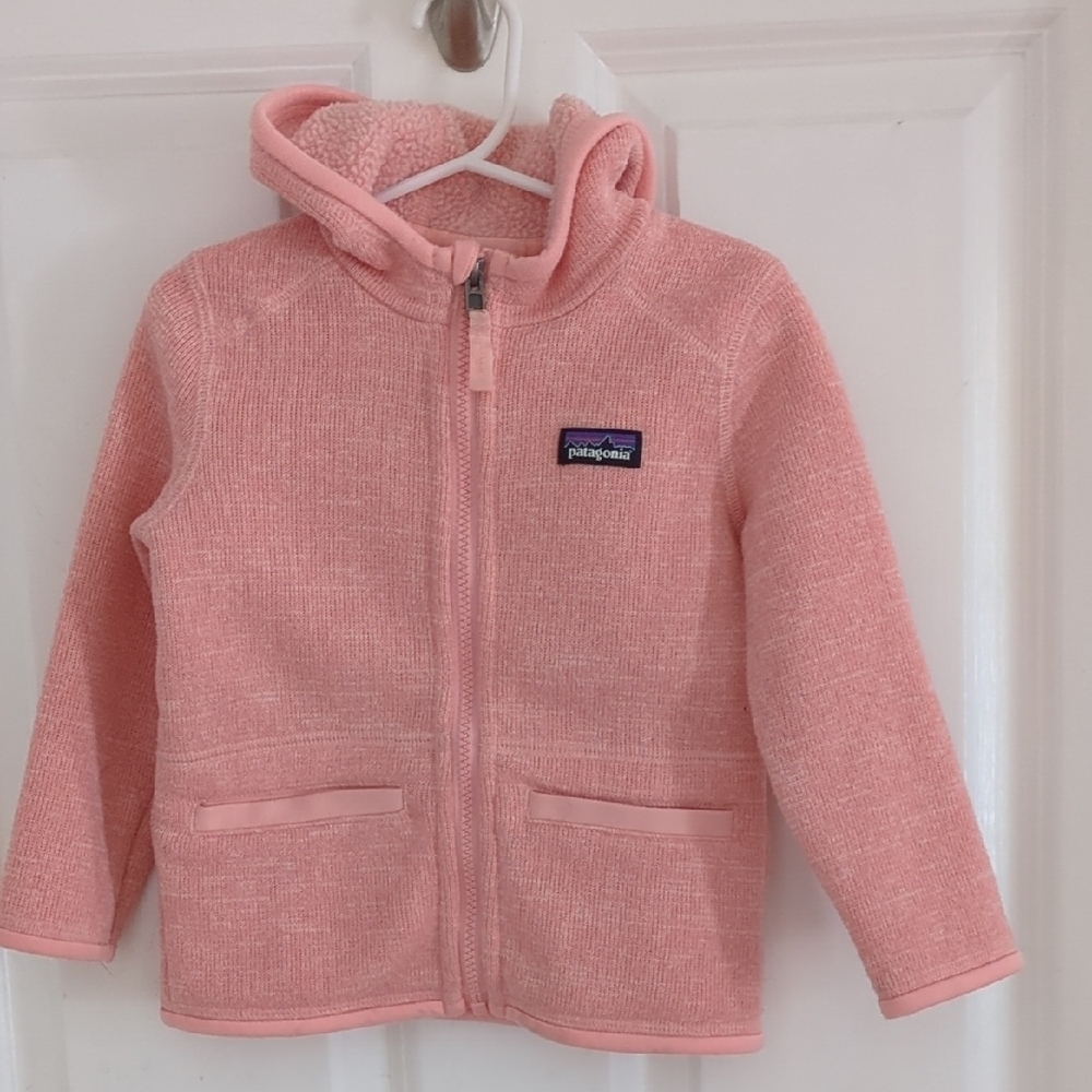 Patagonia Pink Hooded Jacket